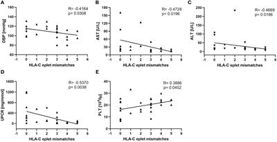 High maternal-fetal HLA eplet compatibility is associated with severe manifestation of preeclampsia